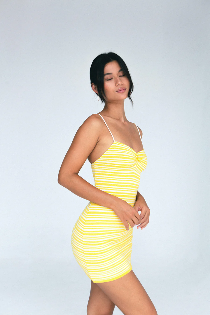Sunshine Claire Striped Mini Dress
